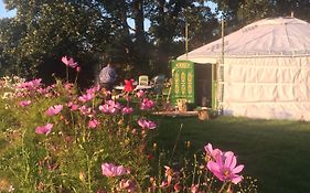 Crazy Pheasant Yurt